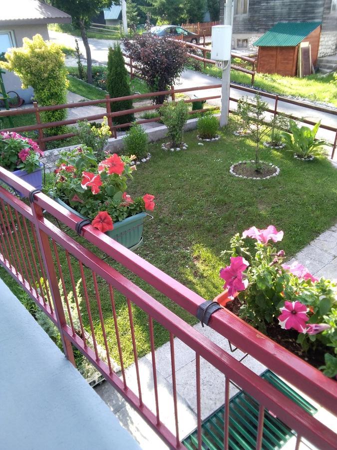 Apartment Obradovic Milan